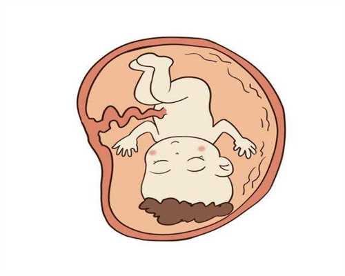 北京有没代孕的医院：代孕三个月男胎儿图预测