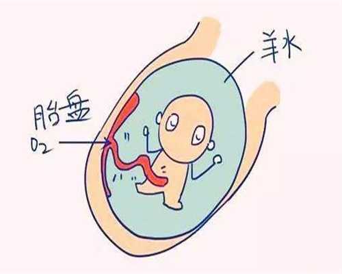 教你如何舒缓早孕反应_找上海自然受孕代妈公司