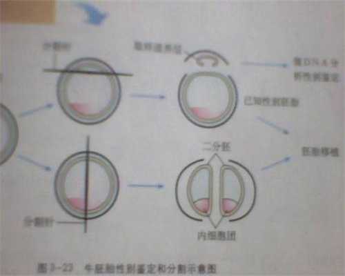 北京代孕行业调查揭秘：代孕能不能吃螃蟹代孕