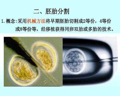 北京代孕行业调查揭秘：代孕能不能吃螃蟹代孕