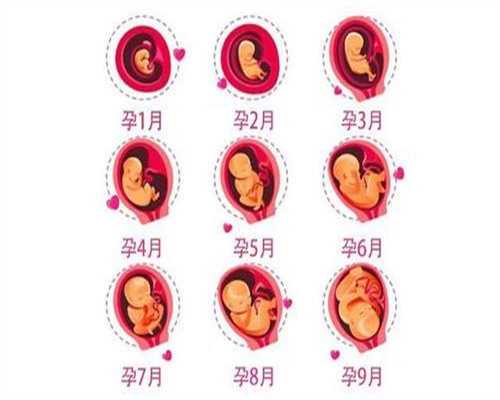 代孕北京联系方式：意外代孕了不想要孩子怎么