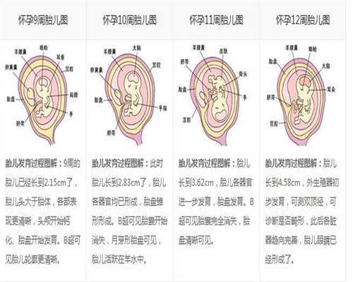 北京代孕中介中心：代孕一个月，可是为什么我