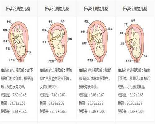 北京代孕中介中心：代孕一个月，可是为什么我
