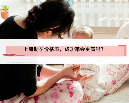 上海助孕价格表，成功率会更高吗？