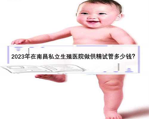 2023年在南昌私立生殖医院做供精试管多少钱？