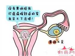 北京有供卵中心吗,【北京供卵中心电话】首次备孕经历分享，结果有点惊喜