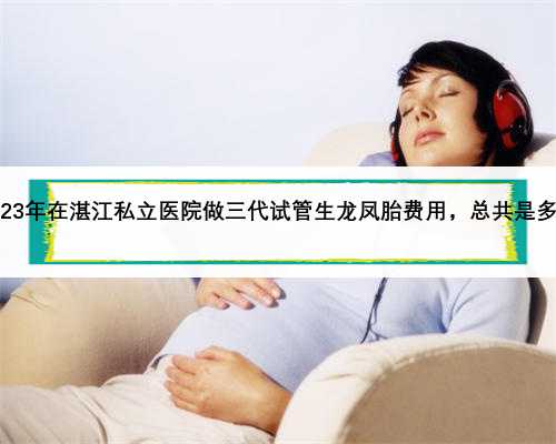 2023年在湛江私立医院做三代试管生龙凤胎费用，总共是多少