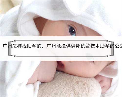 代孕合法同性恋，广州怎样找助孕的，广州能提供供卵试管技术助孕的公立医院