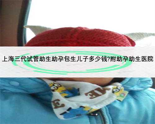 上海三代试管助生助孕包生儿子多少钱?附助孕助生医院